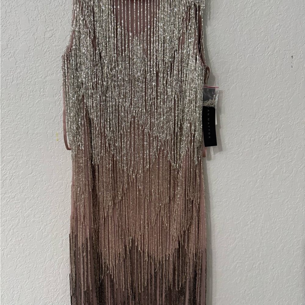Elegant Silver and Brown Fringe Dress
